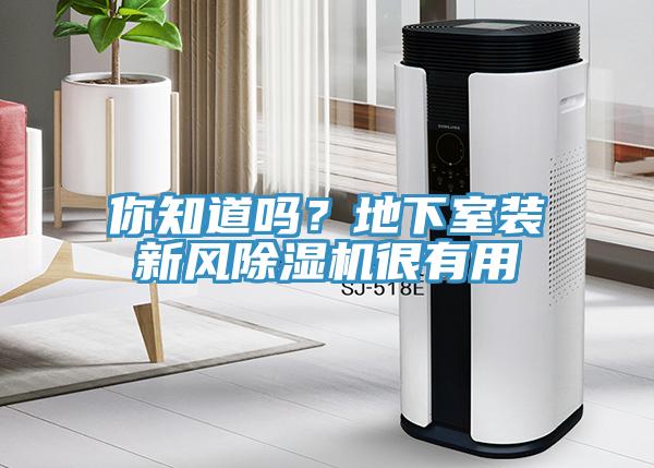 你知道吗？地下室装新风小黄片直播视频很有用