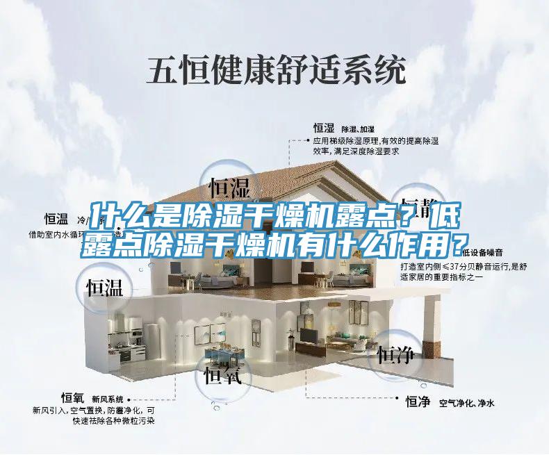 什么是除湿干燥机露点？低露点除湿干燥机有什么作用？