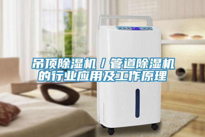 吊顶小黄片直播视频／管道小黄片直播视频的行业应用及工作原理
