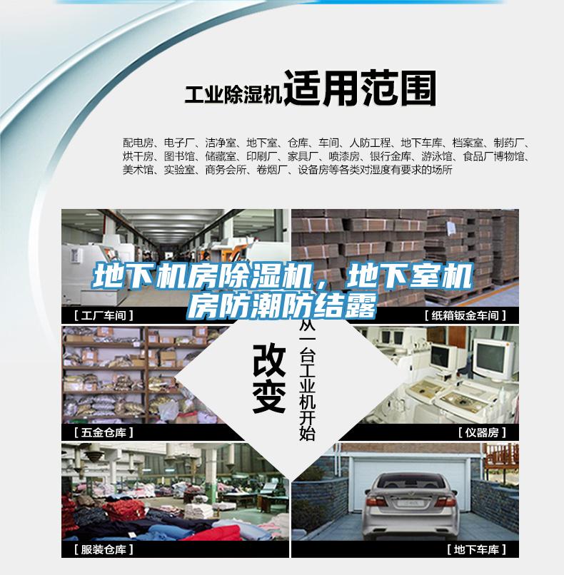 地下机房小黄片直播视频，地下室机房防潮防结露