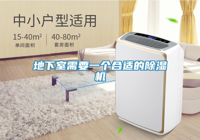 地下室需要一个合适的小黄片直播视频