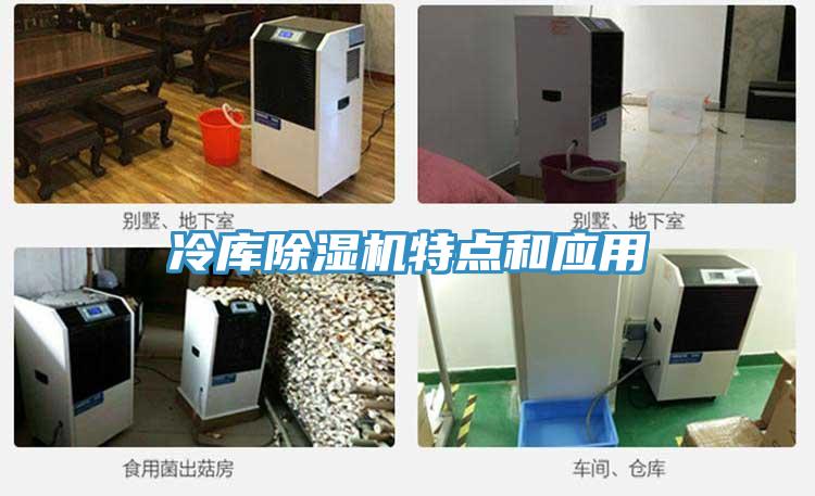 冷库小黄片直播视频特点和应用