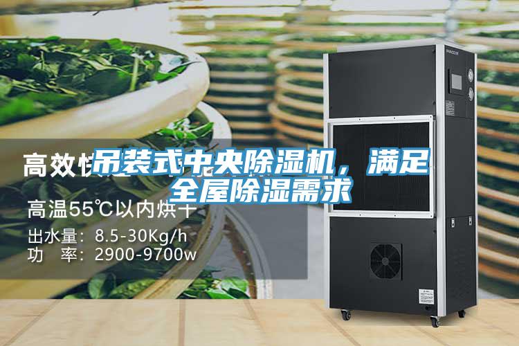 吊装式中央小黄片直播视频，满足全屋除湿需求