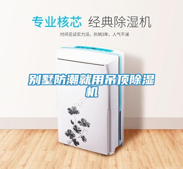 别墅防潮就用吊顶小黄片直播视频