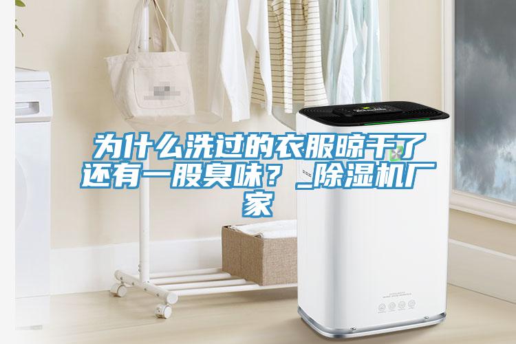 为什么洗过的衣服晾干了还有一股臭味？_小黄片直播视频厂家