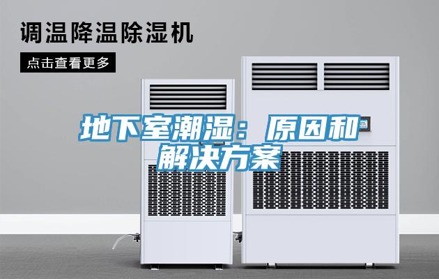 地下室潮湿：原因和解决方案