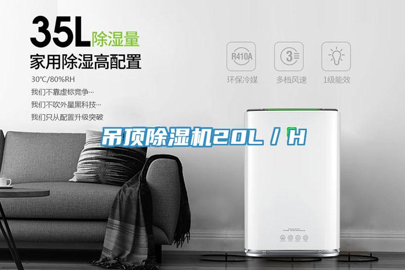 吊顶小黄片直播视频20L／H
