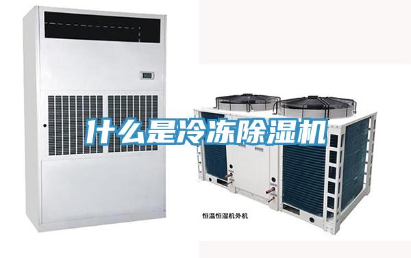 什么是冷冻小黄片直播视频