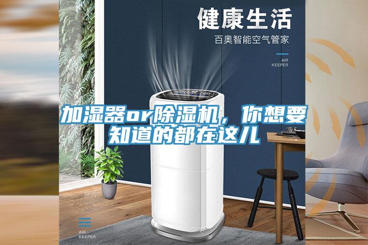 加湿器or小黄片直播视频，你想要知道的都在这儿