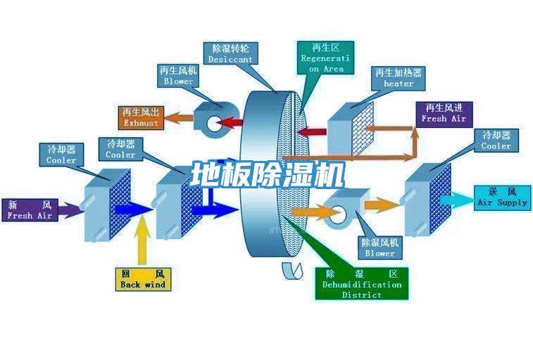 地板小黄片直播视频