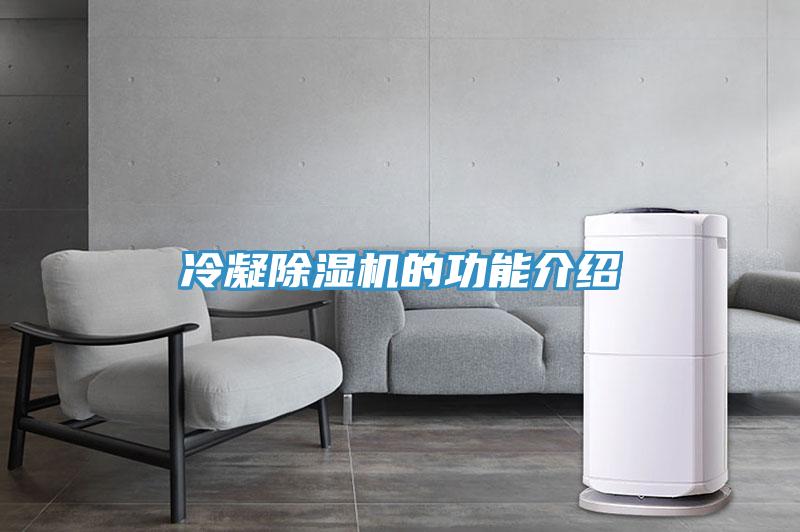 冷凝小黄片直播视频的功能介绍