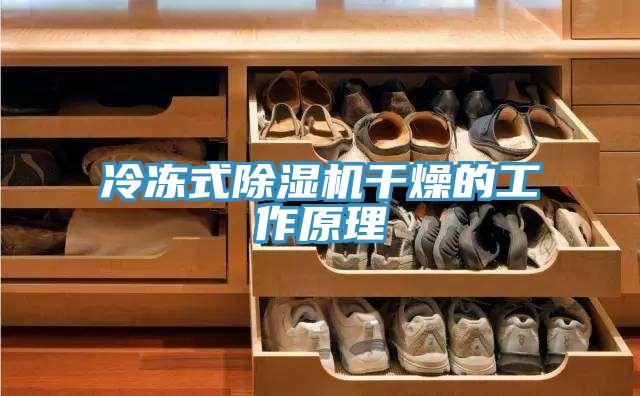 冷冻式小黄片直播视频干燥的工作原理