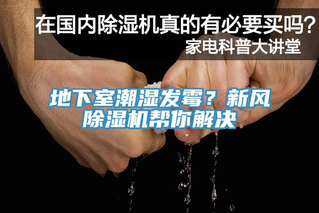 地下室潮湿发霉？新风小黄片直播视频帮你解决