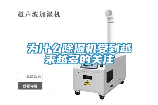 为什么小黄片直播视频受到越来越多的关注