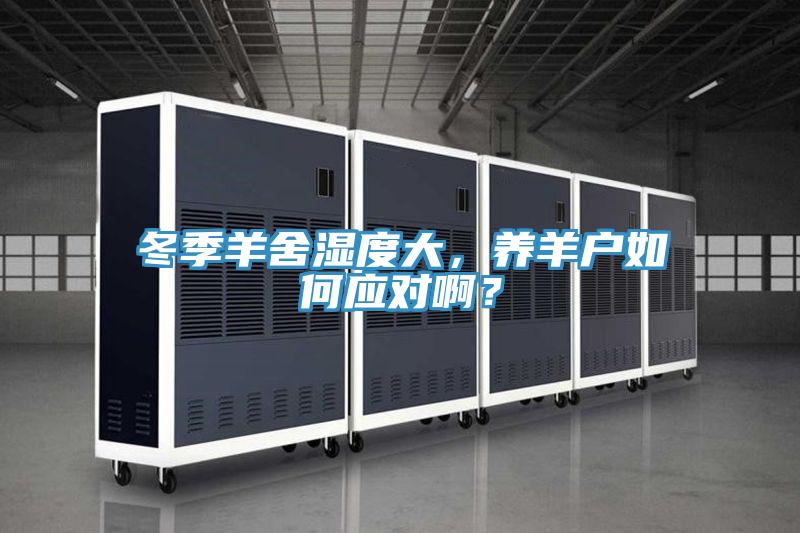 冬季羊舍湿度大，养羊户如何应对啊？