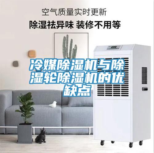冷媒小黄片直播视频与除湿轮小黄片直播视频的优缺点