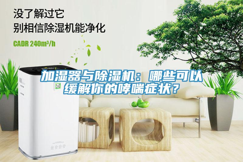 加湿器与小黄片直播视频：哪些可以缓解你的哮喘症状？
