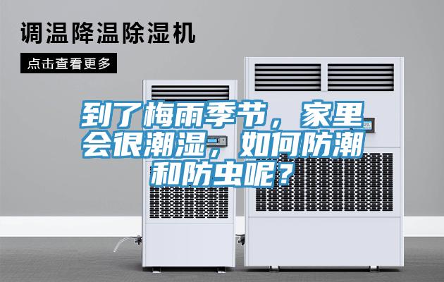 到了梅雨季节，家里会很潮湿，如何防潮和防虫呢？
