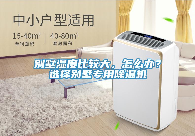 别墅湿度比较大，怎么办？选择别墅专用小黄片直播视频