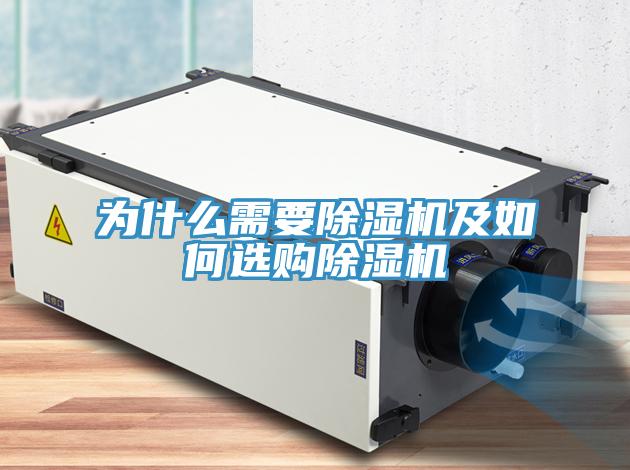 为什么需要小黄片直播视频及如何选购小黄片直播视频