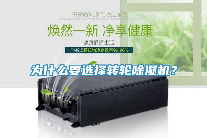 为什么要选择转轮小黄片直播视频？