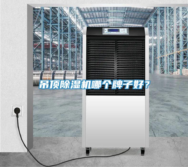 吊顶小黄片直播视频哪个牌子好？