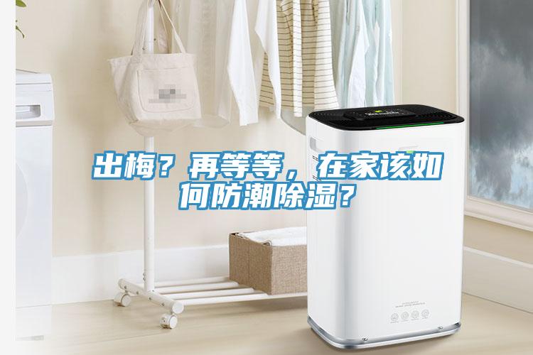出梅？再等等，在家该如何防潮除湿？