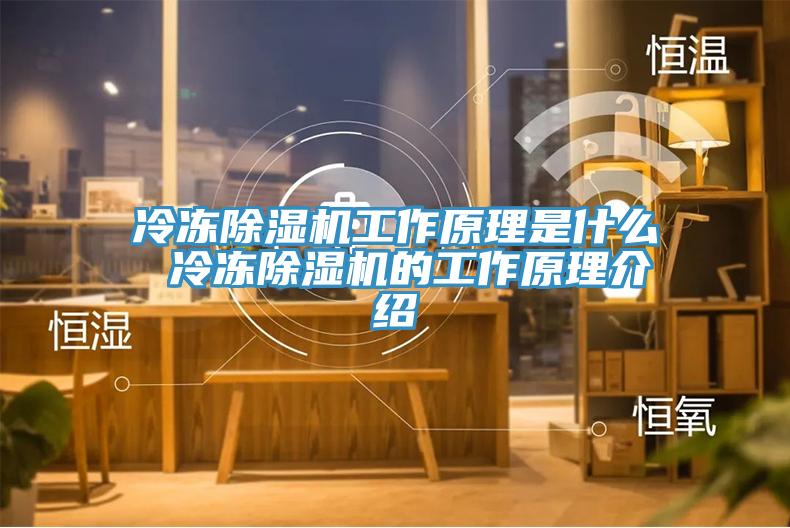 冷冻小黄片直播视频工作原理是什么 冷冻小黄片直播视频的工作原理介绍