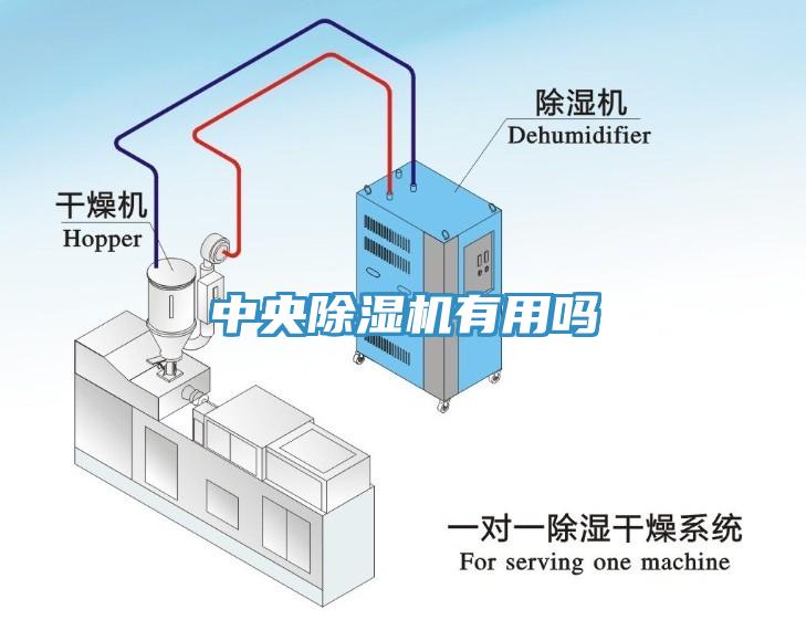 中央小黄片直播视频有用吗