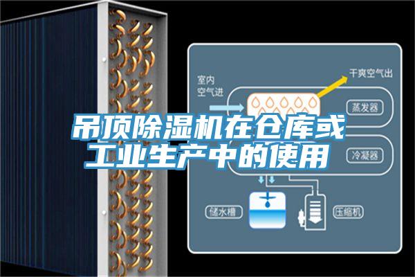 吊顶小黄片直播视频在仓库或工业生产中的使用
