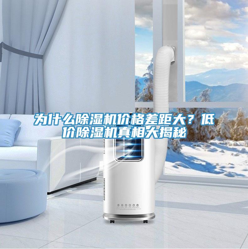 为什么小黄片直播视频价格差距大？低价小黄片直播视频真相大揭秘