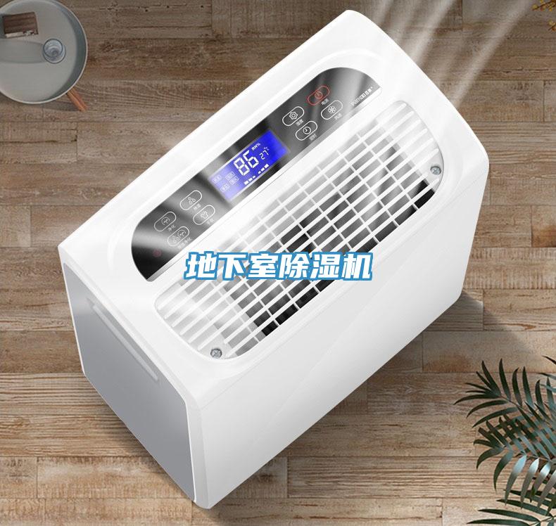 地下室小黄片直播视频