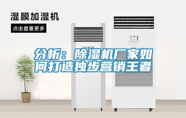 分析：小黄片直播视频厂家如何打造独步营销王者
