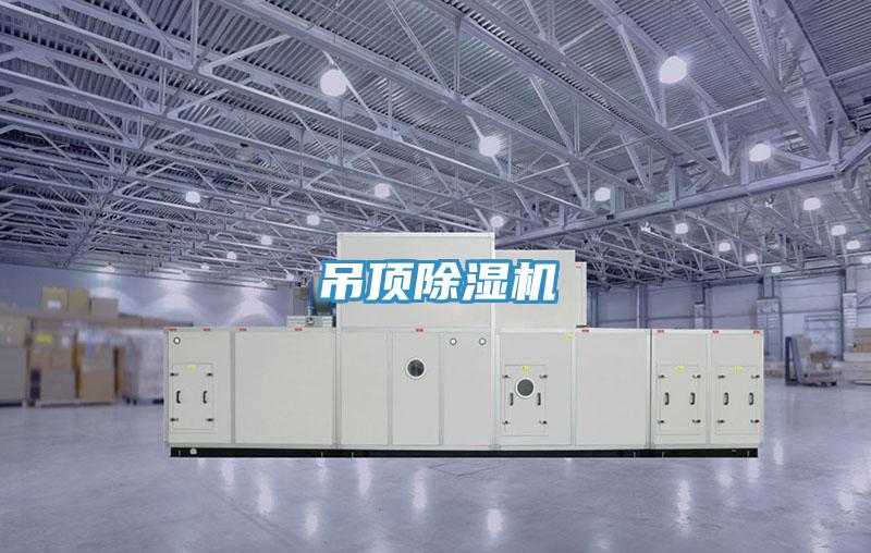 吊顶小黄片直播视频