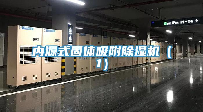 内源式固体吸附小黄片直播视频（1）