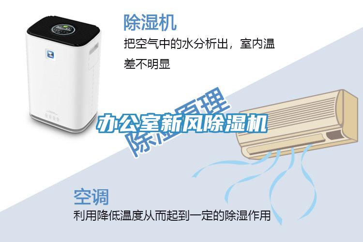 办公室新风小黄片直播视频