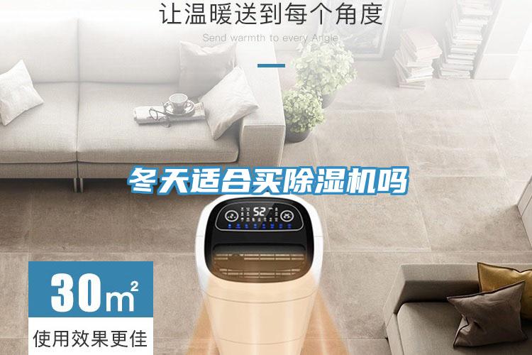 冬天适合买小黄片直播视频吗