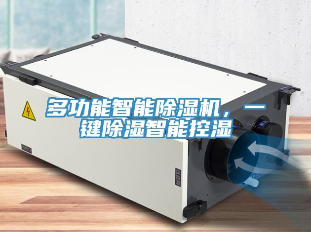 多功能智能小黄片直播视频，一键除湿智能控湿