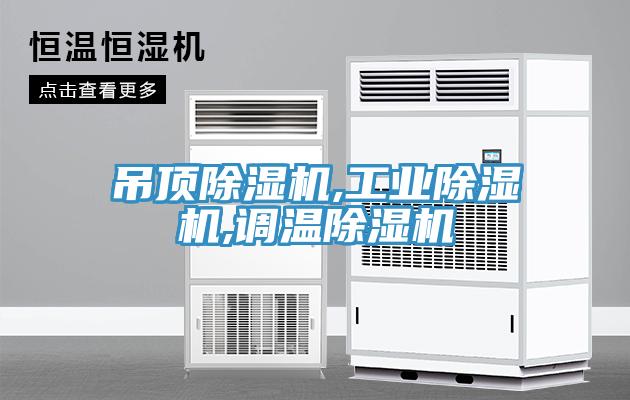 吊顶小黄片直播视频,工业小黄片直播视频,调温小黄片直播视频