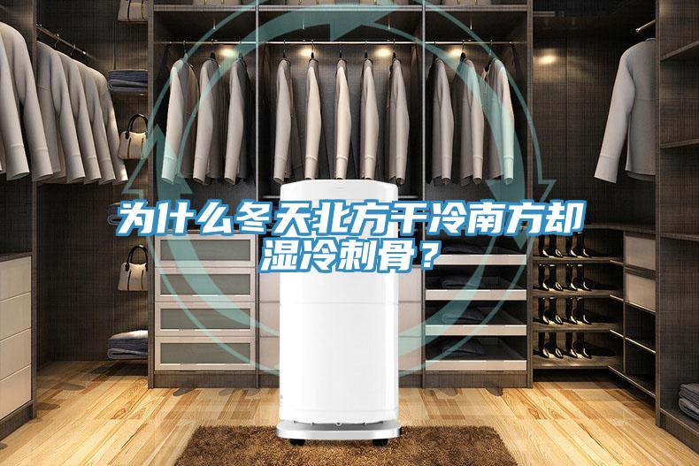 为什么冬天北方干冷南方却湿冷刺骨？