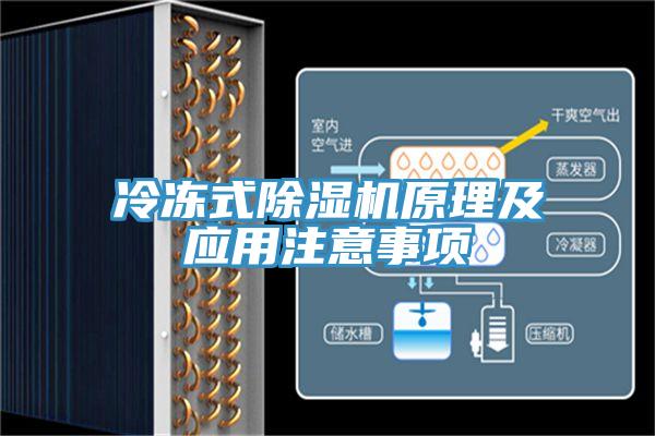冷冻式小黄片直播视频原理及应用注意事项