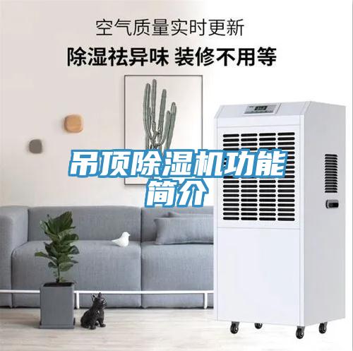 吊顶小黄片直播视频功能简介