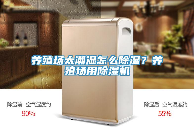 养殖场太潮湿怎么除湿？养殖场用小黄片直播视频