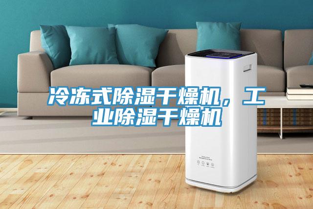 冷冻式除湿干燥机，工业除湿干燥机
