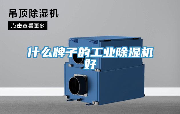 什么牌子的工业小黄片直播视频好