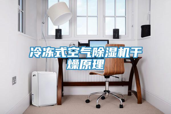冷冻式空气小黄片直播视频干燥原理