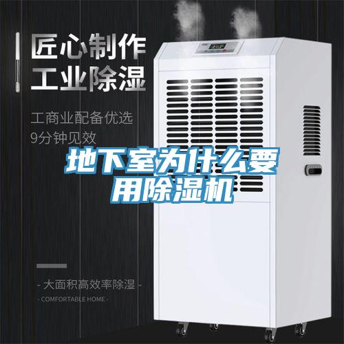 地下室为什么要用小黄片直播视频