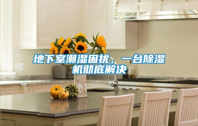 地下室潮湿困扰，一台小黄片直播视频彻底解决