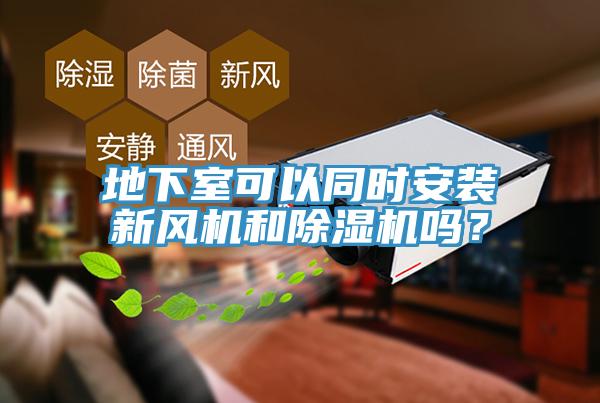 地下室可以同时安装新风机和小黄片直播视频吗？