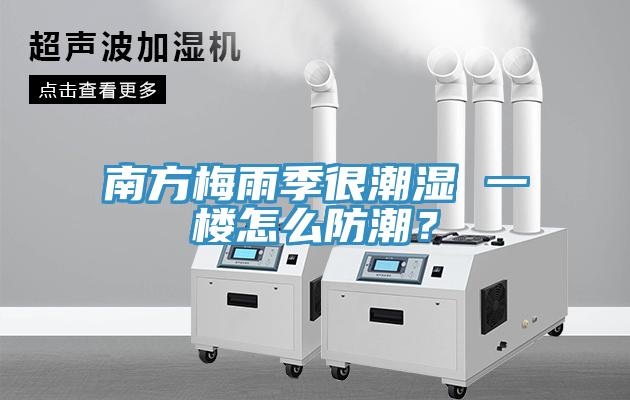 南方梅雨季很潮湿 一楼怎么防潮？
